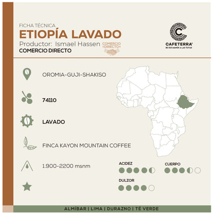 Café Etiopía - Kayon Mountain Lavado