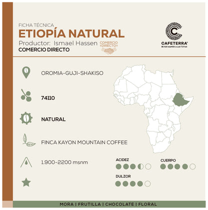 Café Etiopía - Kayon Mountain Natural