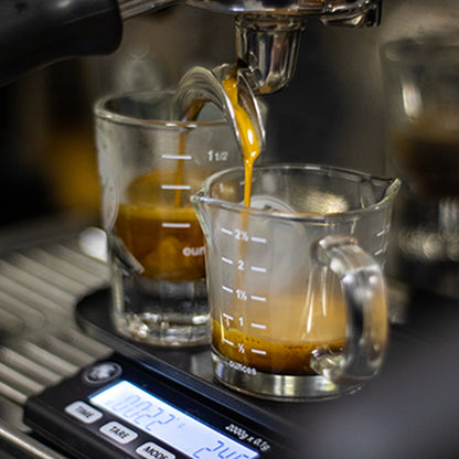 Espresso Shot Glass Double Spout Rhino Coffee