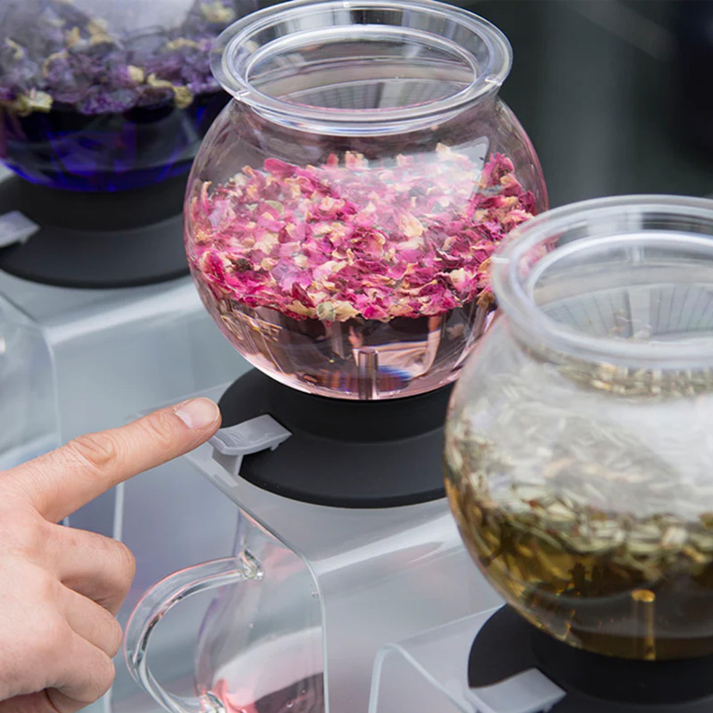 Dripper para Té Hario