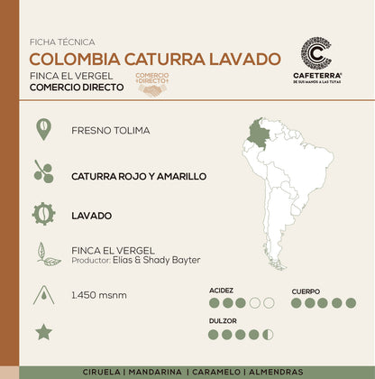 Café Colombia · El Vergel  · Caturra Lavado
