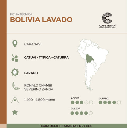 Café Bolivia · Caranavi · Catuai Lavado