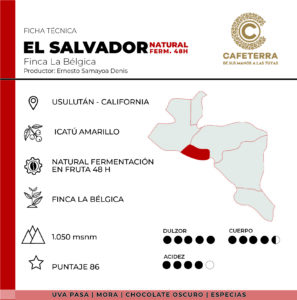Ficha El Salvador La Bélgica Icatú Natural - Cafeterra