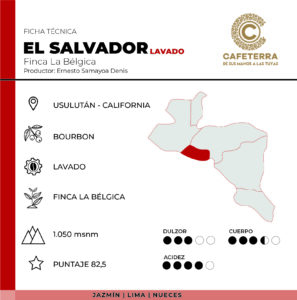 Ficha El Salvador La Bélgica Bourbon Lavado - Cafeterra
